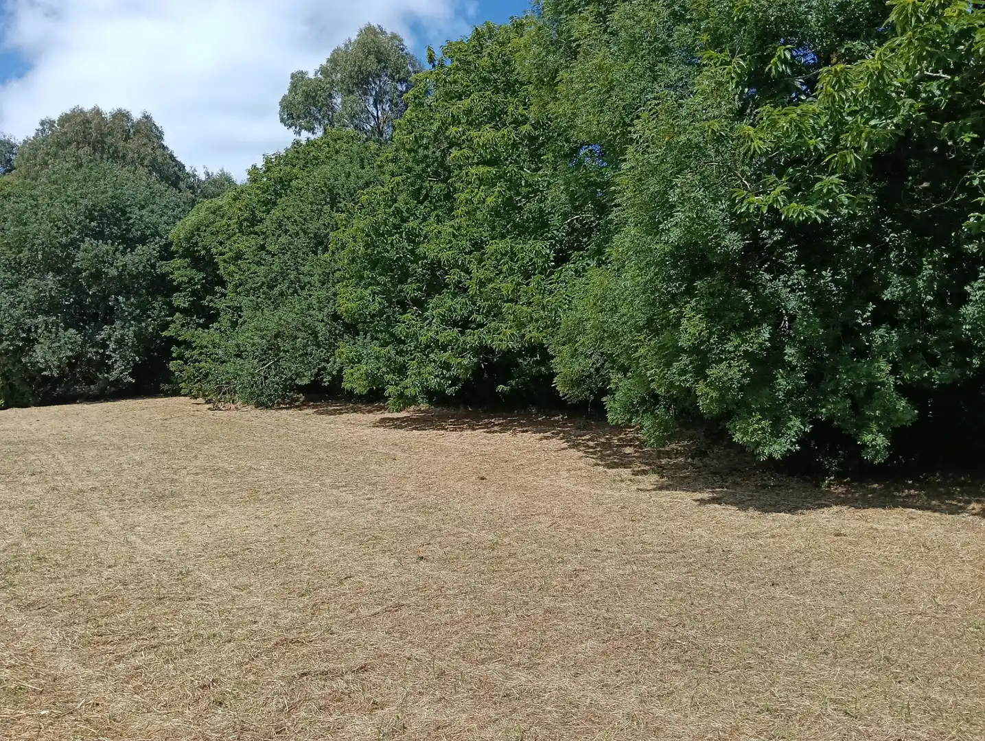 Maison avec jardin à vendre à Vilasantar, imagen 15