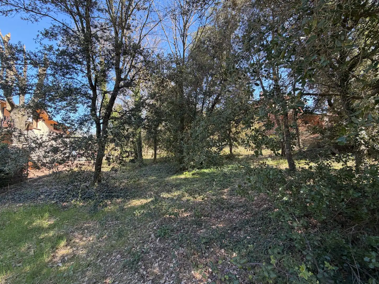 Terreny residencial en venda a Carrer els Roures, imagen 6
