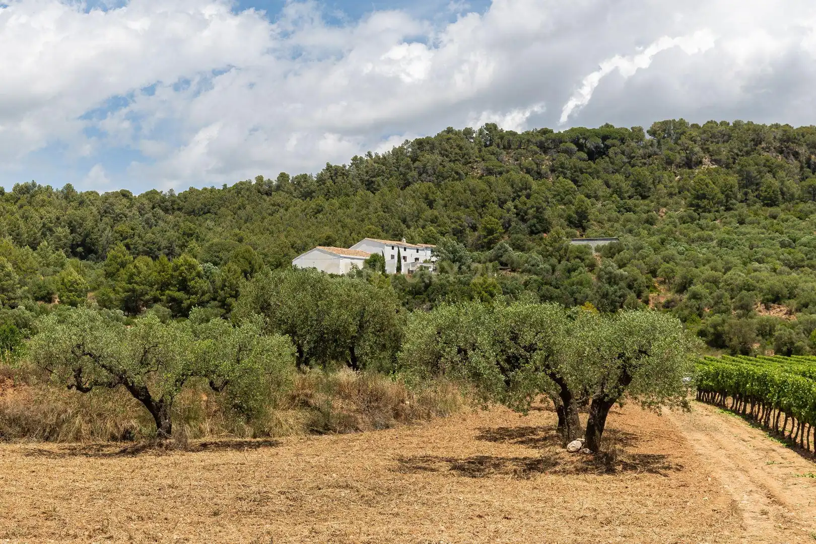 Country homes for sale in Piera  with Air Conditioner, Private garden and Storage room