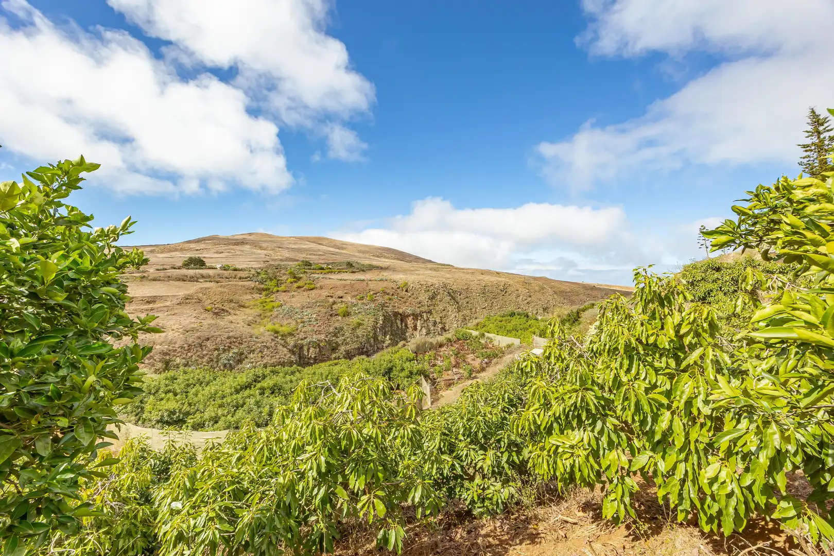 Residencial en venta en Lugar Lomo del Poleo, Saucillo - Fagajesto - Juncalillo