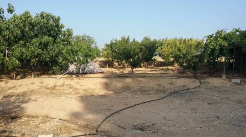 Photo 3 of Country house for sale in Montroi / Montroy, Valencia