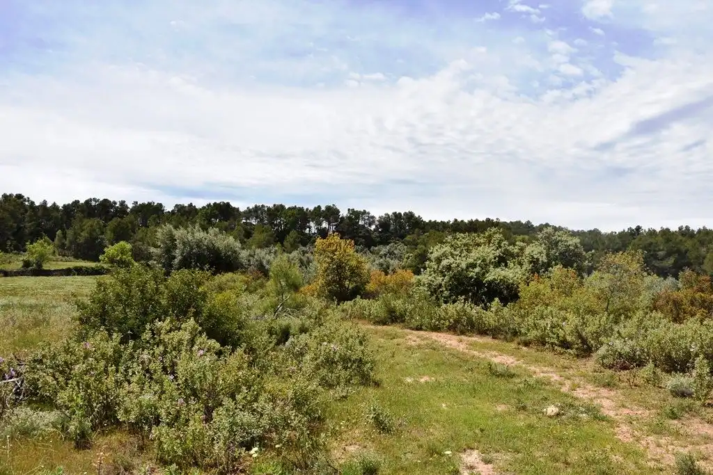 Terreni e lotti in vendita a Arens de Lledó, imagen 10