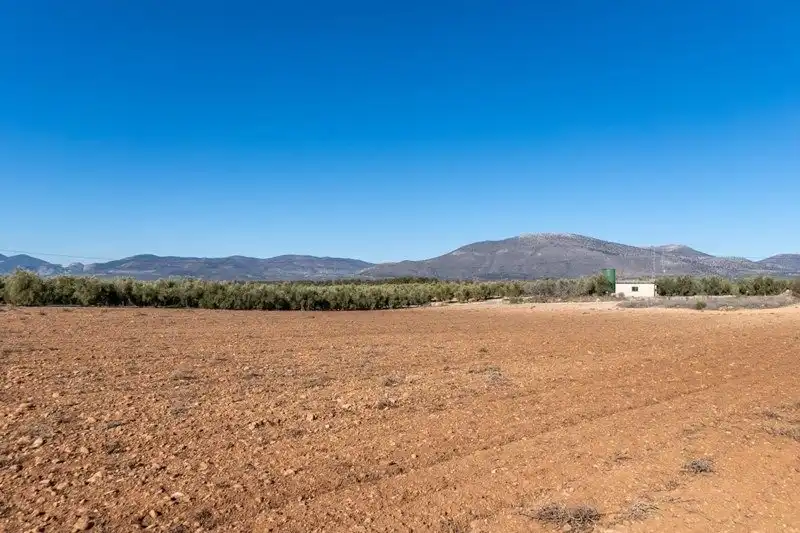 Landhaus mit Pool zum Verkauf in Cogollos de la Vega, imagen 38