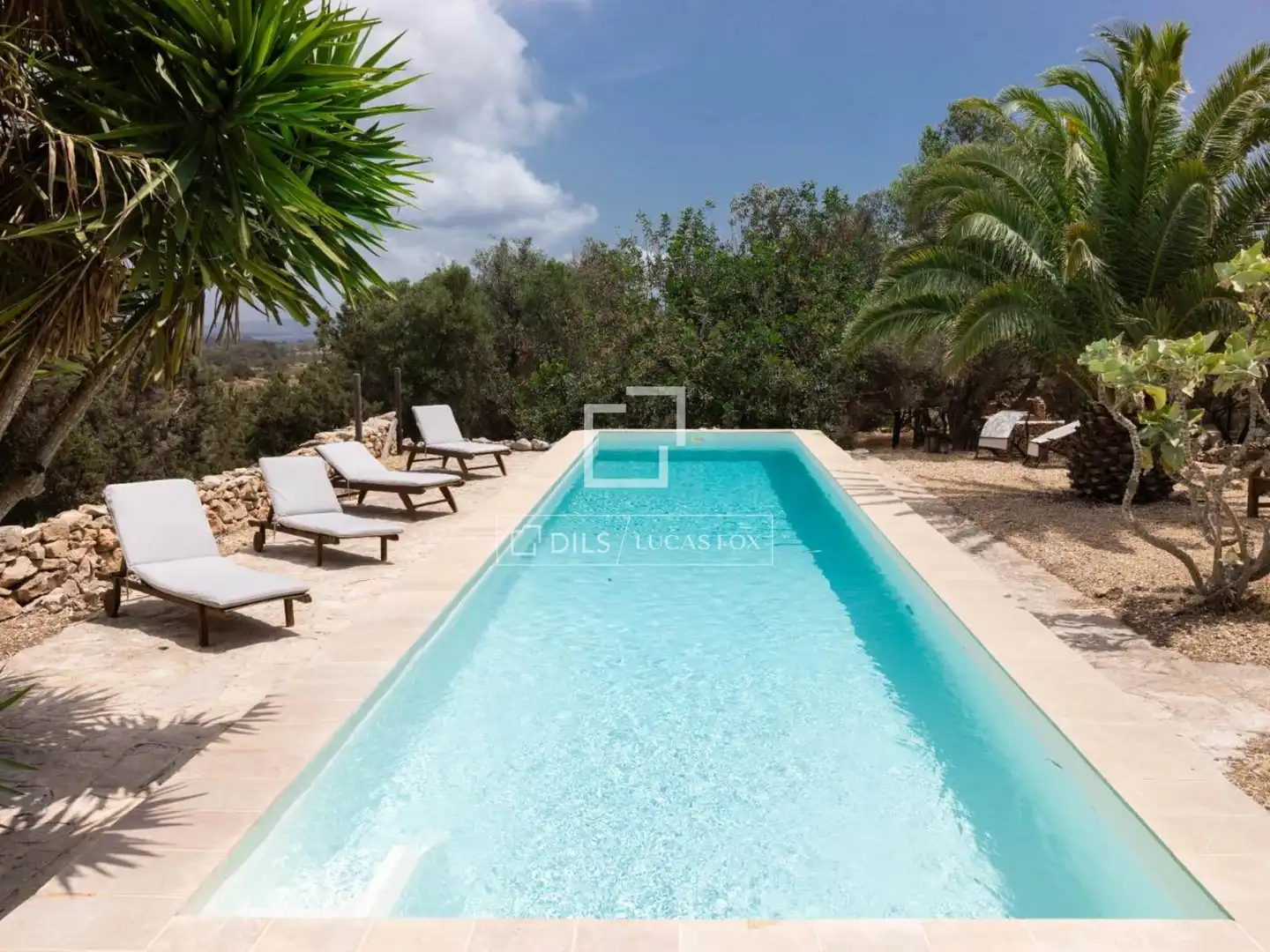 Xalet amb piscina en venda a Formentera, imagen 3
