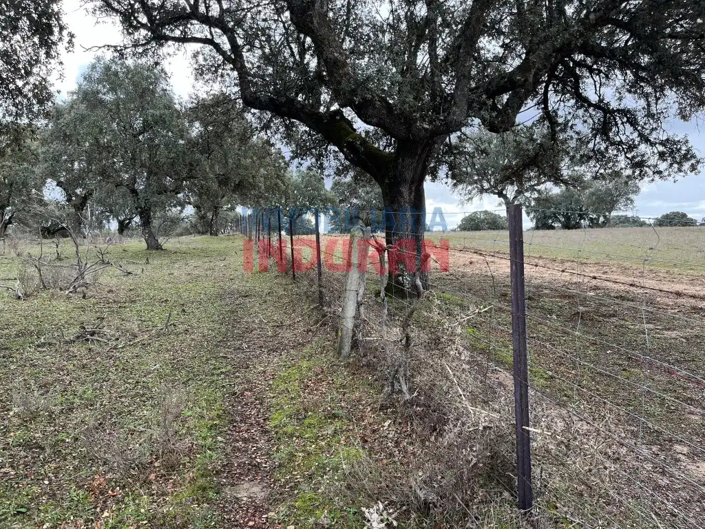 Finca rústica en venta en Calle Corchito, Majadas