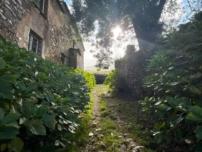 Vista exterior de Finca rústica en venta en Mondoñedo, Lugo