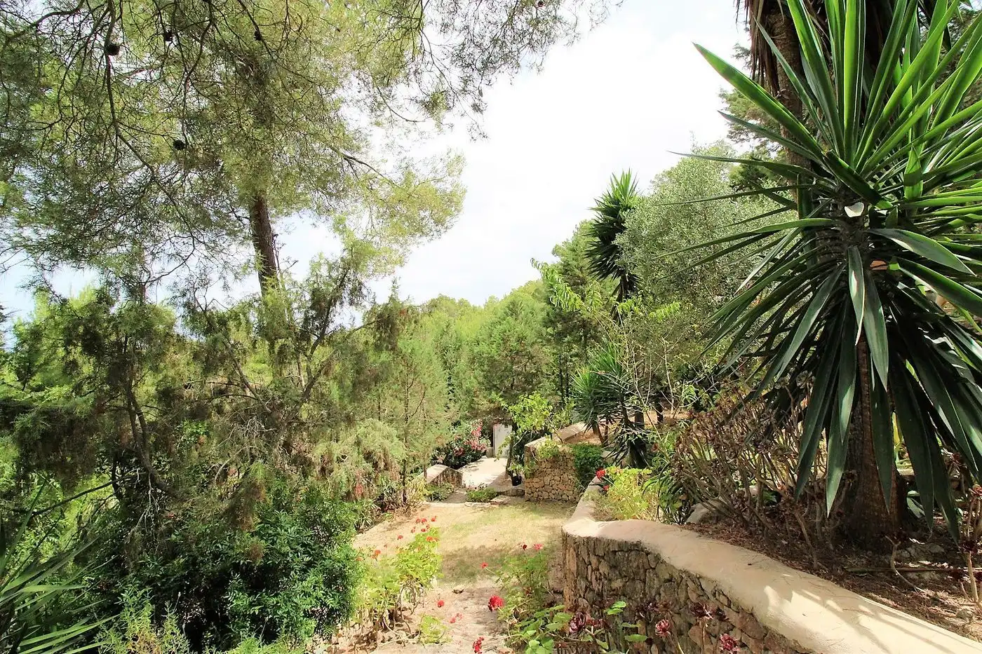 Xalet amb piscina en venda a Sant Agustí-Cala de Bou, imagen 44