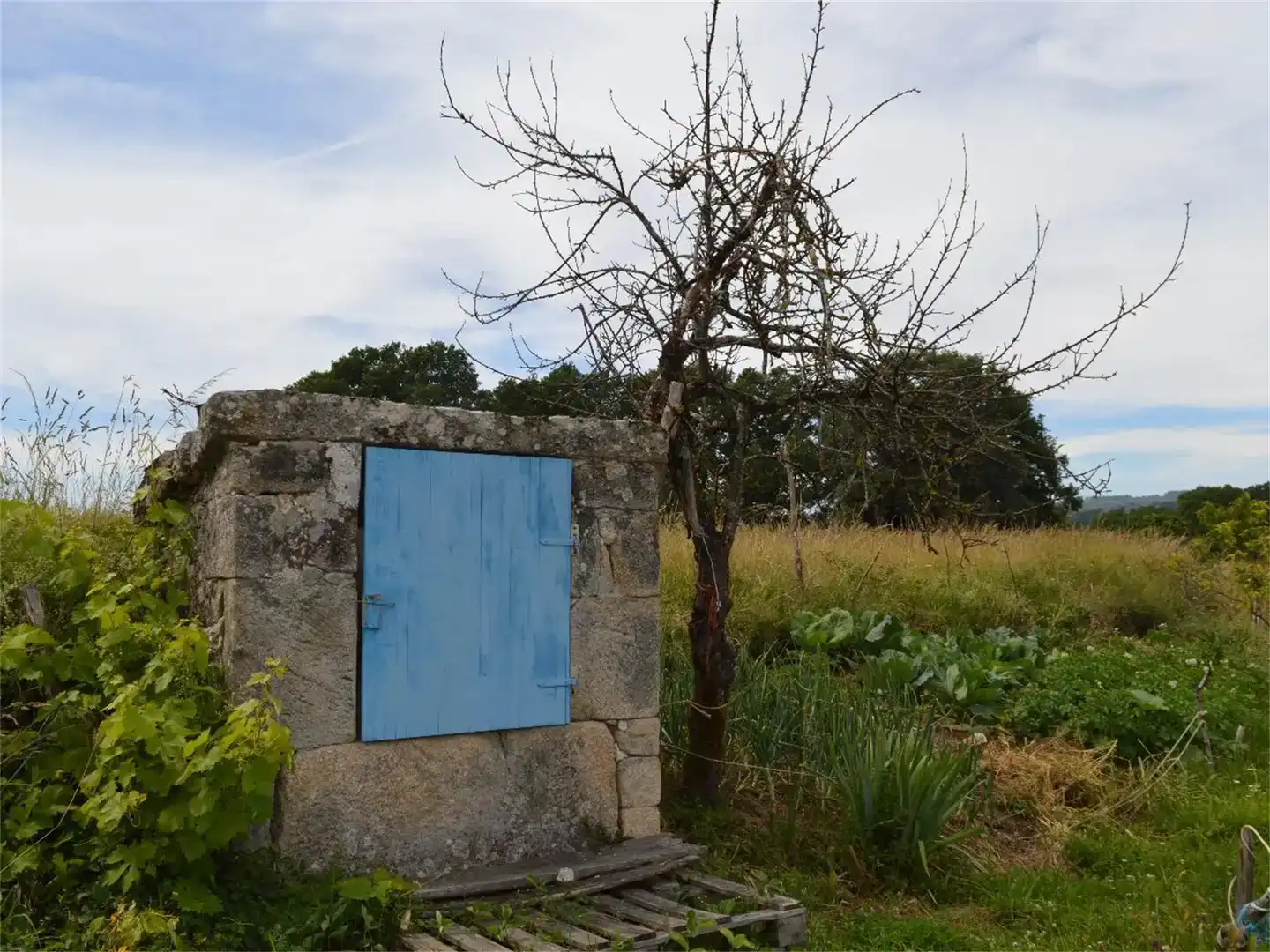 Jardí de Casa o xalet en venda en Paradela