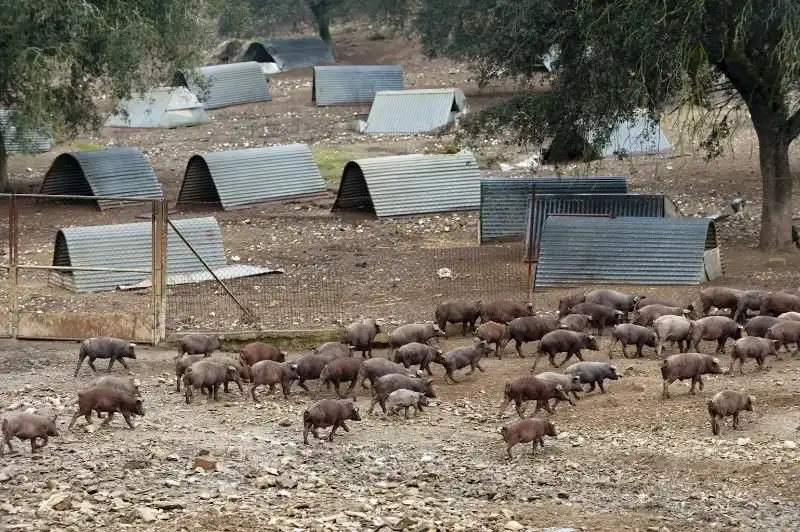 Terreni e lotti in vendita a Alcántara, imagen 20