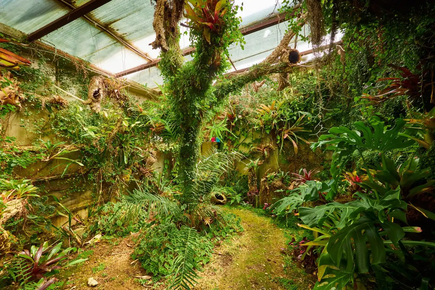 Casa amb jardí en venda a Calle de Cardencha, imagen 9