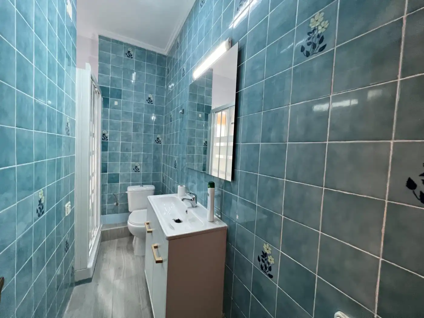 Bany de Pis de lloguer en Valencia amb Jardí privat i Moblat