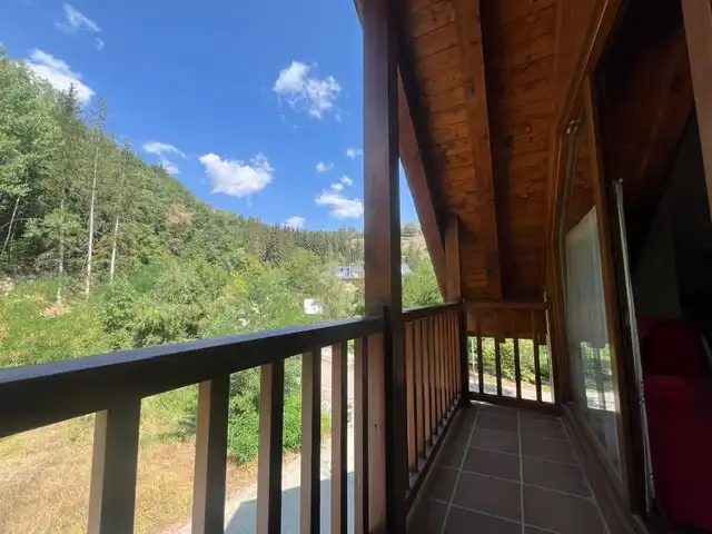 Terraza de Apartamento en venta en Esterri d'Àneu con Calefacción, Amueblado y Balcón