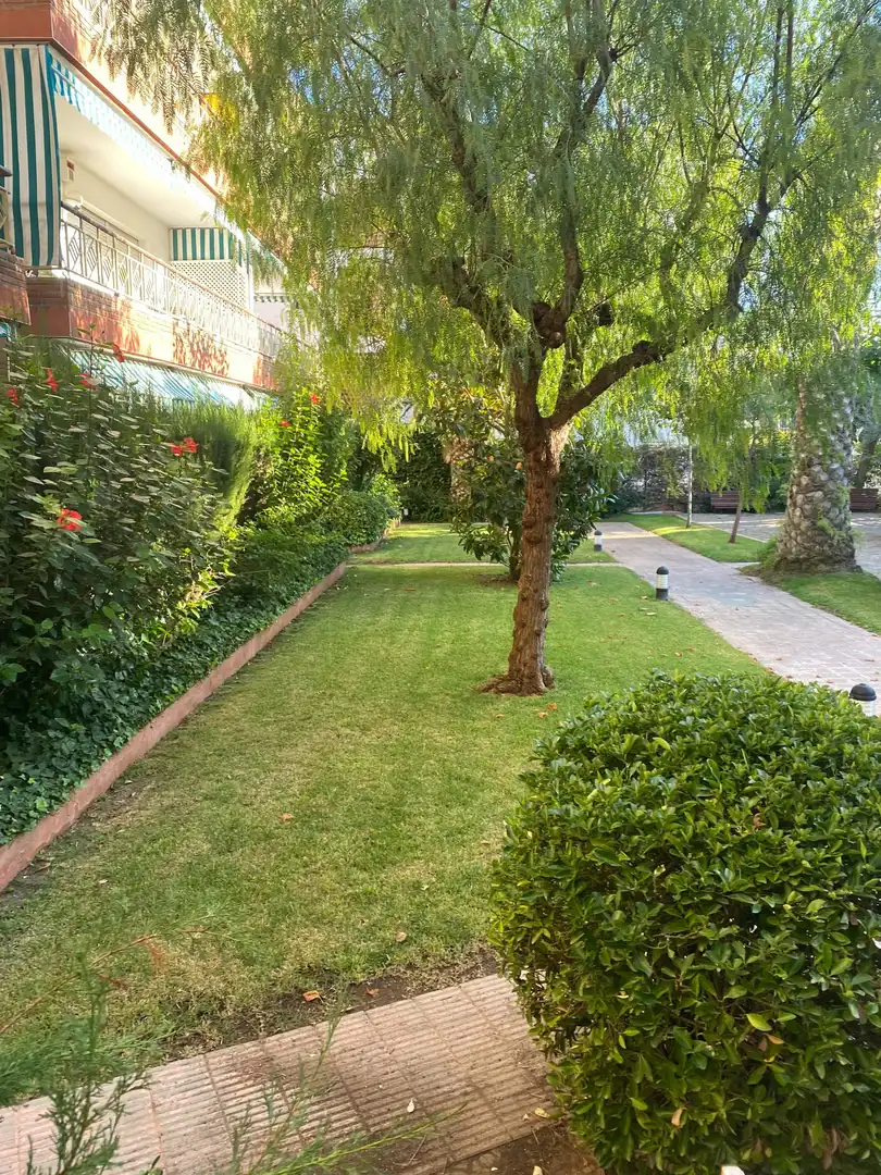 Wohnung zum Verkauf in Ribes Roges