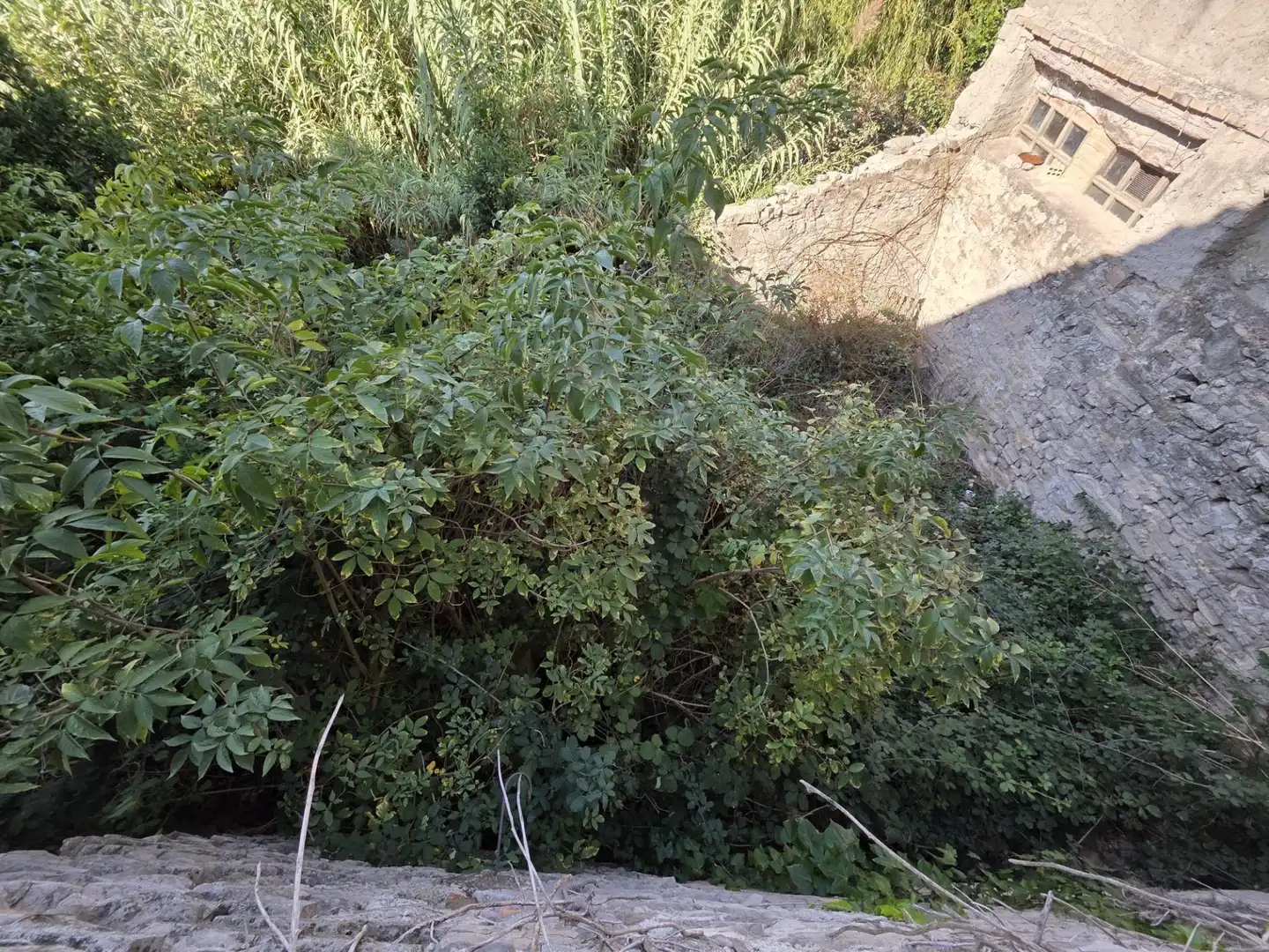 Casa en venda a Cervera, imagen 18