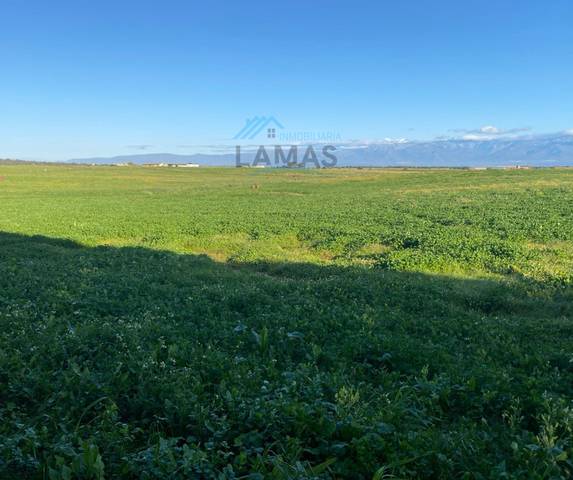 Terreno en Venta en Peraleda de la Mata