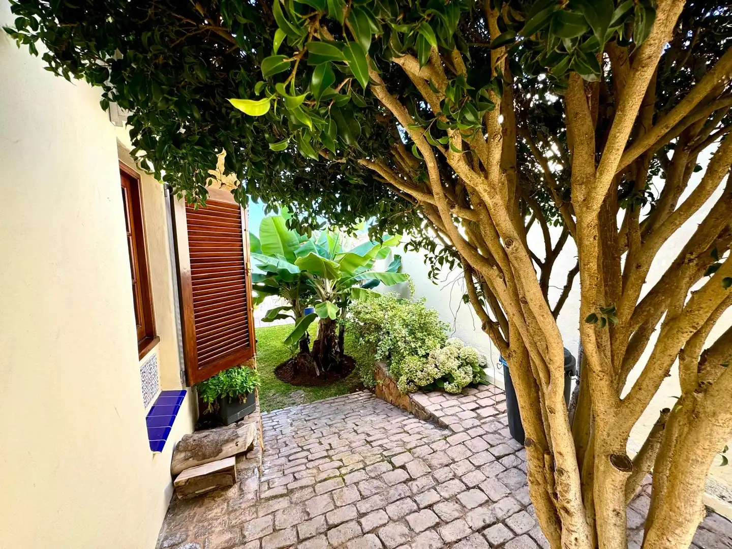 Vista exterior de Casa o xalet en venda en El Sauzal amb Aire condicionat, Jardí privat i Terrassa