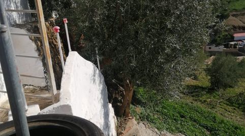 Foto 3 de Casa o chalet en venta en Barriada Don Ramón, 19, Gibralgalía, Cártama