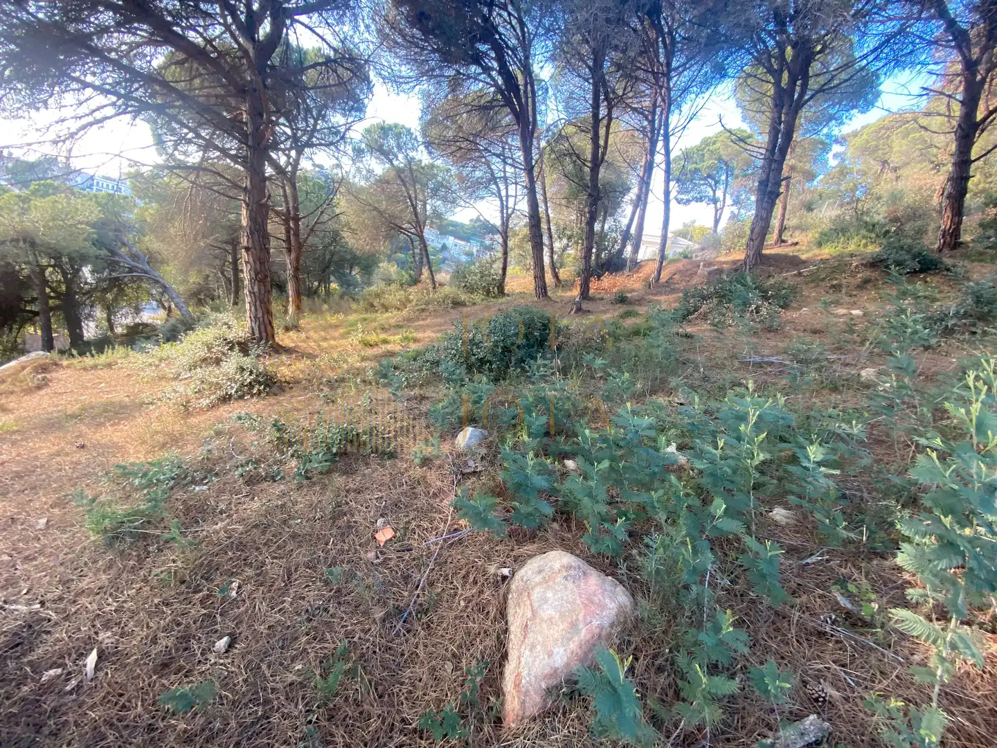 Wohnbaugrundstück zum Verkauf in Roca Grossa, imagen 5