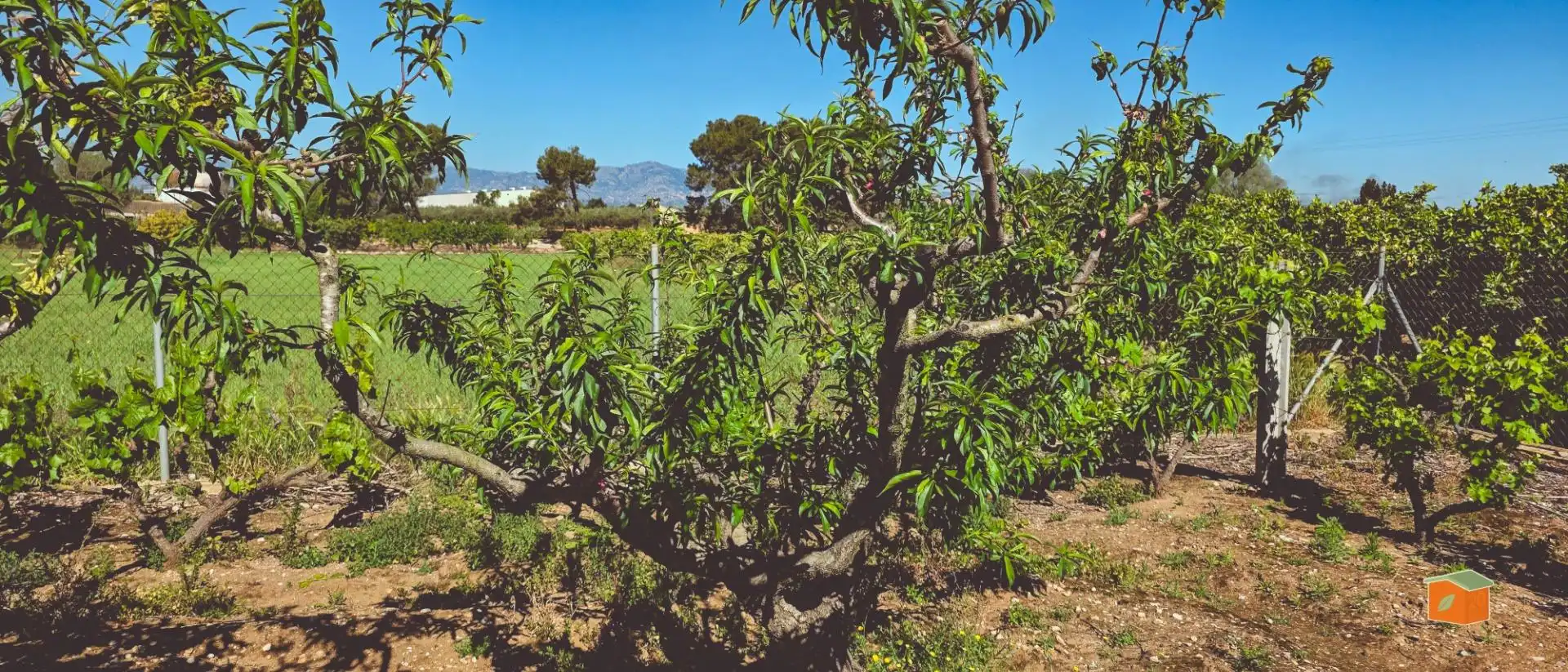 Rural land for sale in Masdenverge, imagen 10