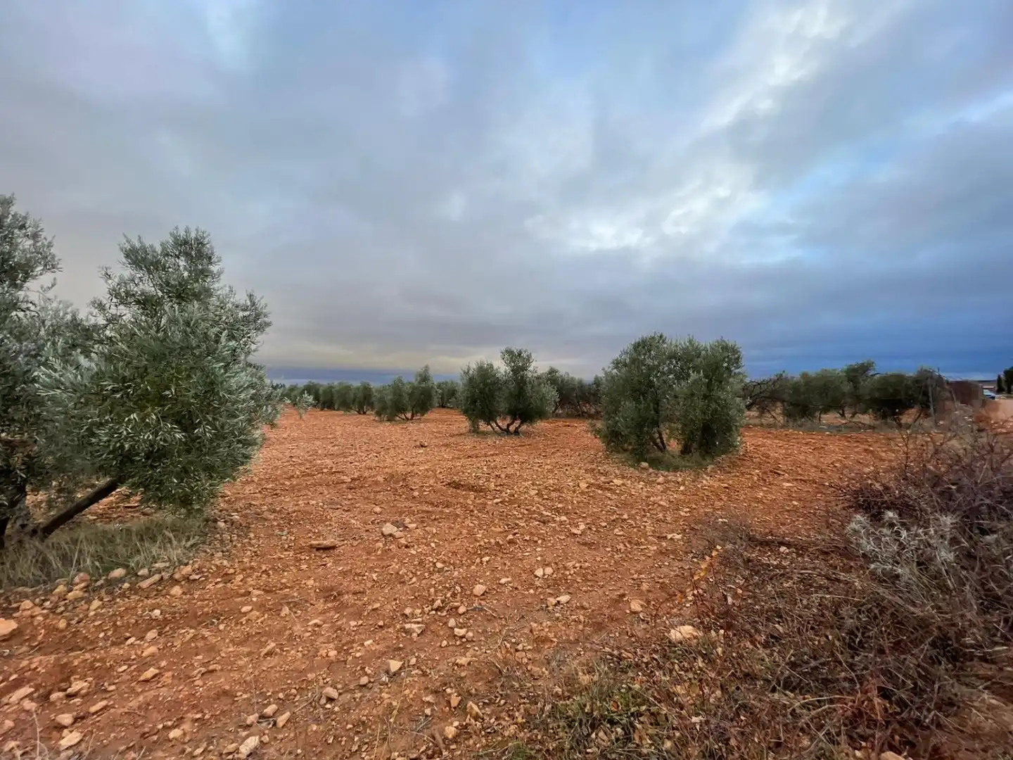Lands and plots for sale in Valdepeñas, imagen 14