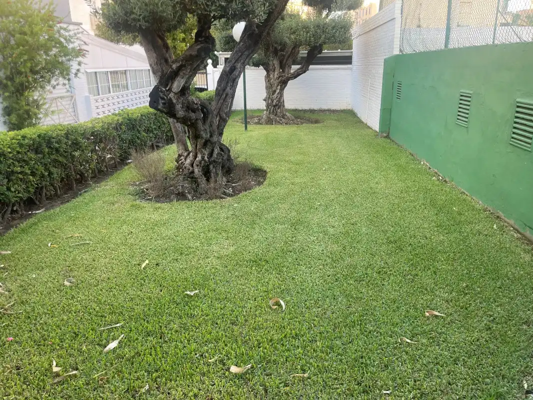Apartment mit Terrasse zum Verkauf in Carrer de les Barraques, imagen 53