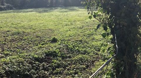 Foto 2 von Haus oder Chalet zum Verkauf in Ezkio-Itsaso, Gipuzkoa