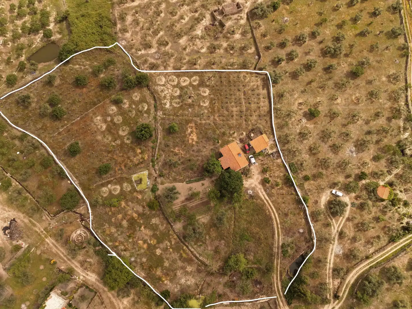 Finca rústica en venta en Montánchez con Piscina