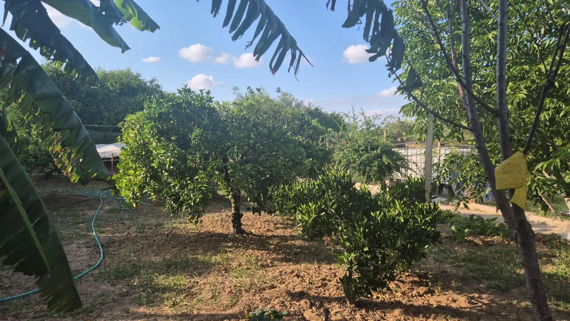 Finca rústica en venta en Murcia con Amueblado