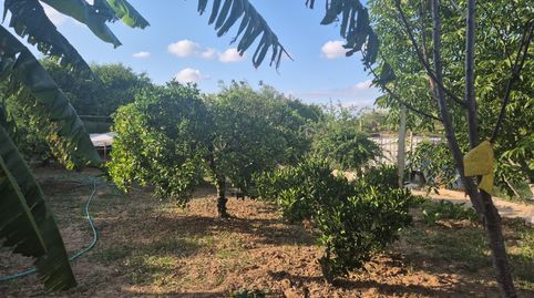 Foto 5 de Finca rústica en venta en El Palmar, Murcia Capital