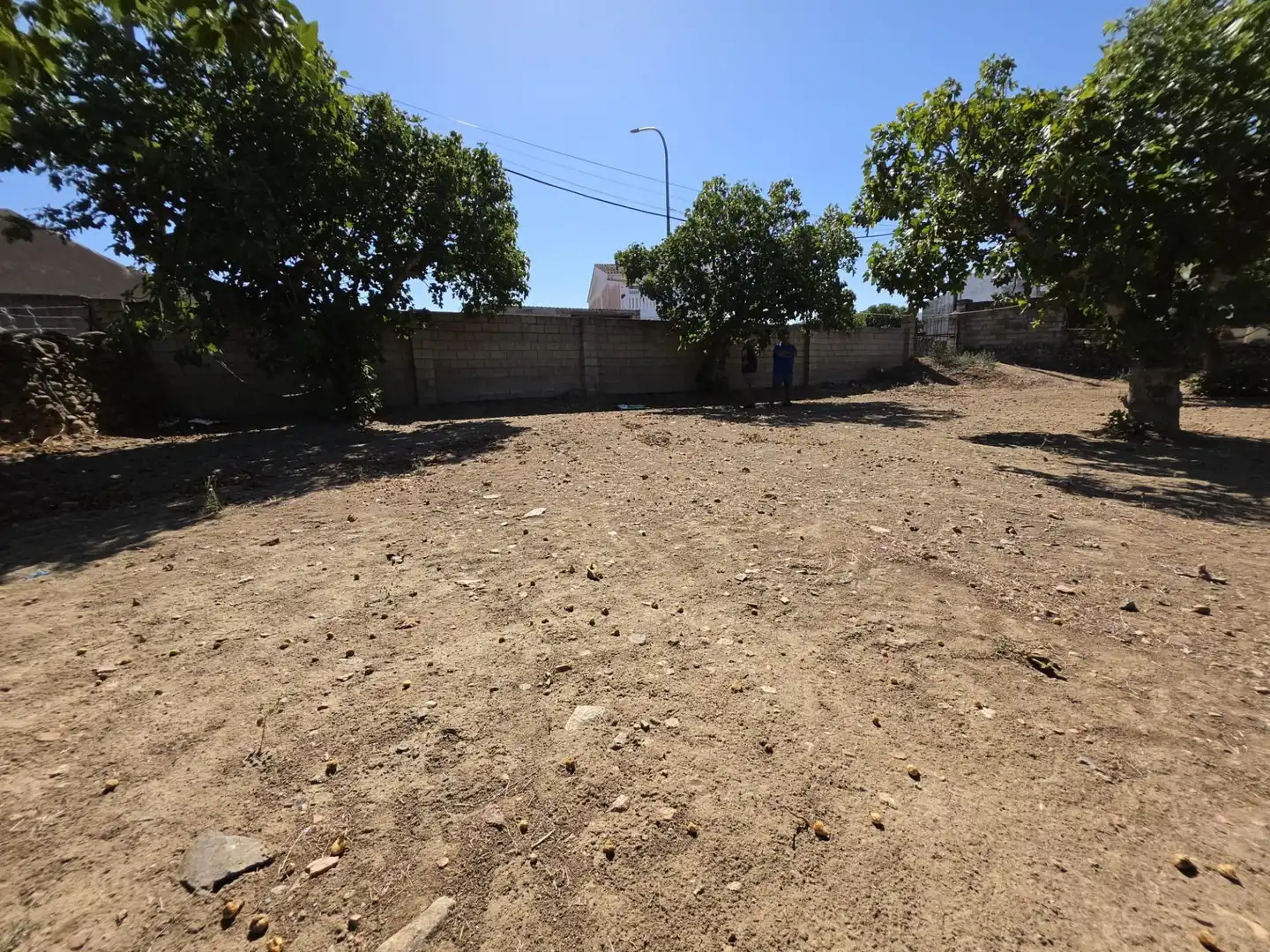 Terreny residencial en venda a Valdefuentes, imagen 6