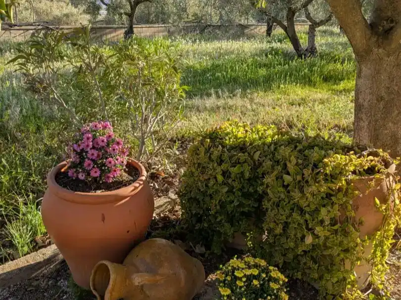 Jardí de Pis en venda en Onil amb Jardí privat, Traster i Piscina
