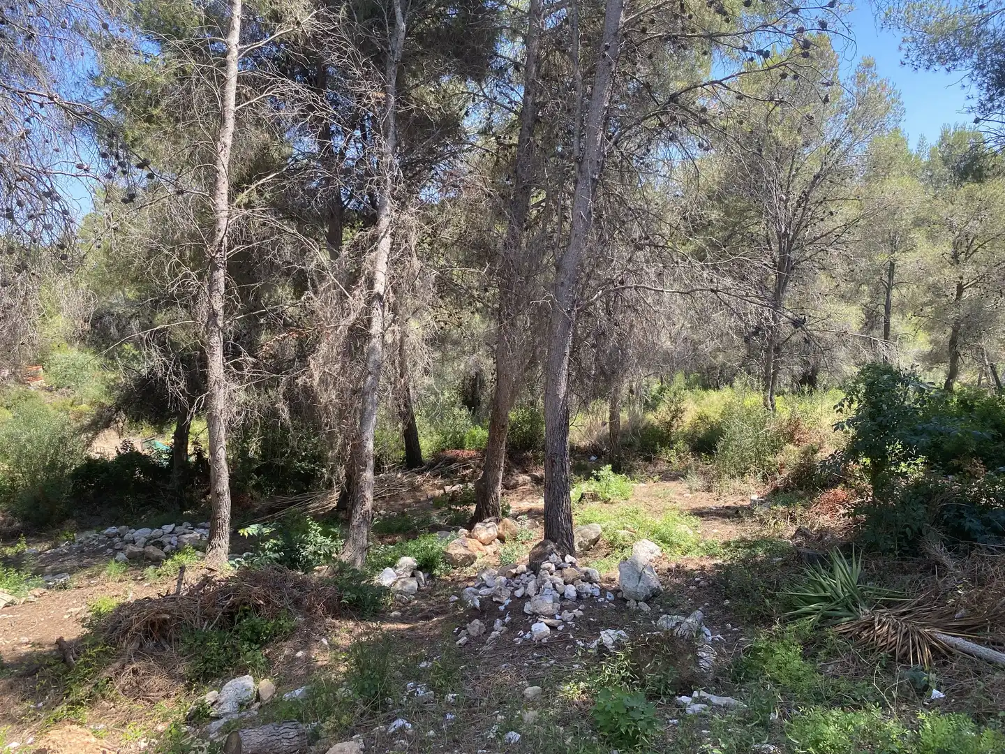 Residential land for sale in Urbanitzacions de Llevant, imagen 12