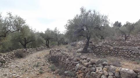 Foto 4 de Terreno en venta en Vilafamés, Castellón