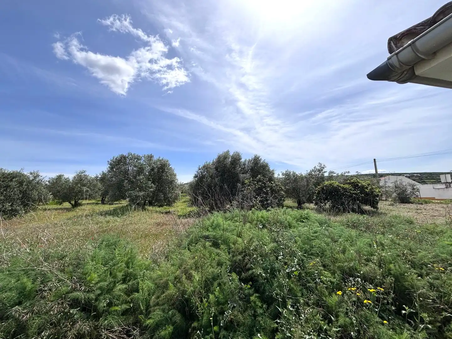 Terreni e lotti in vendita a Arcos de la Frontera, imagen 29