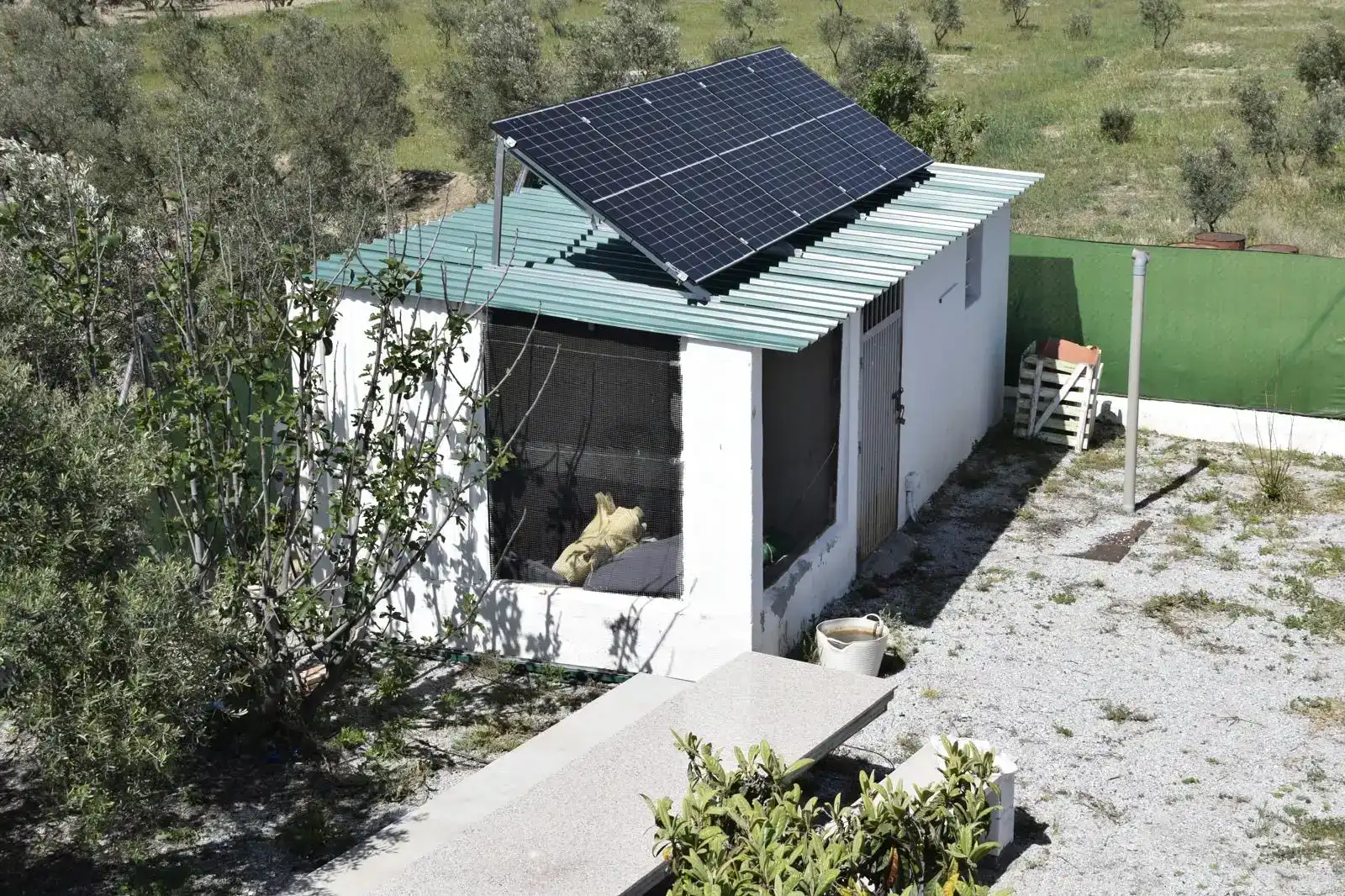 Jardín de Casa o chalet en venta en Baza con Jardín privado y Piscina