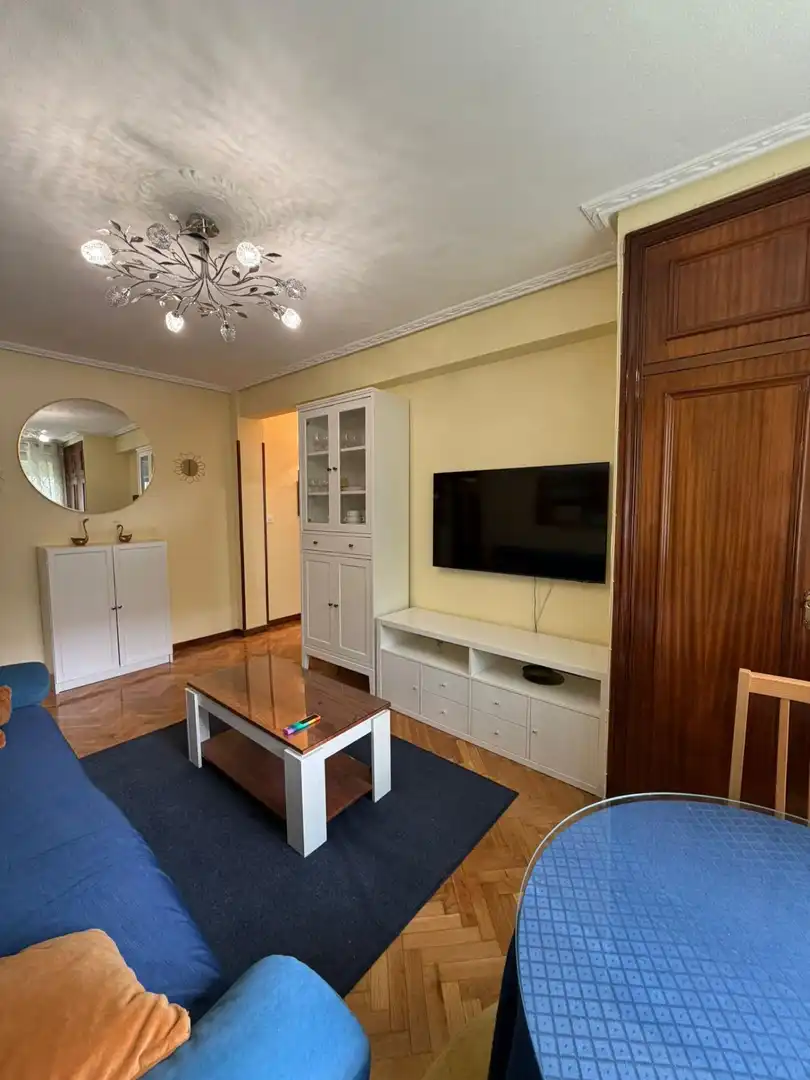Sala de estar de Piso de alquiler en Madrid con Aire acondicionado, Calefacción y Parquet