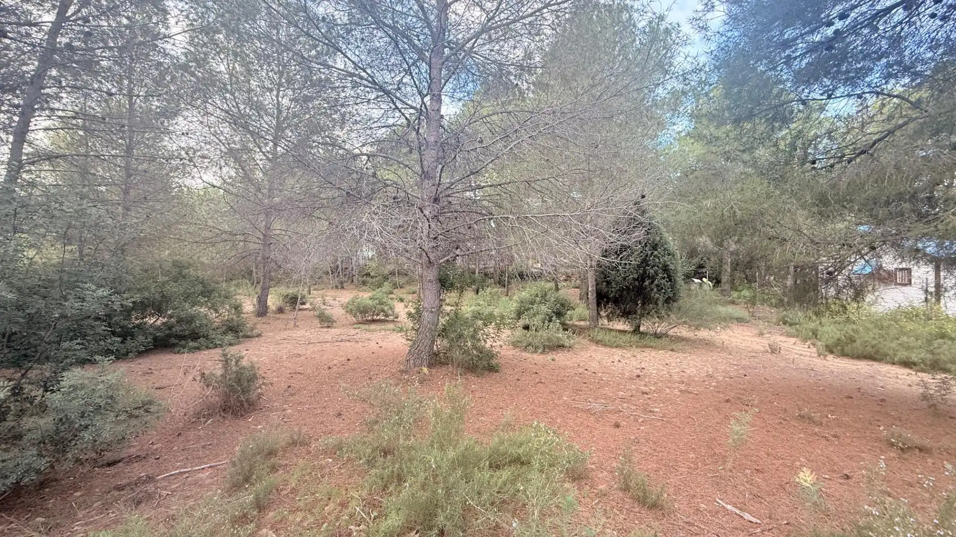 Terreny residencial en venda a Albalat dels Tarongers, imagen 2