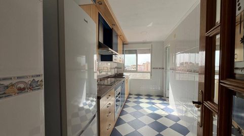 Photo 3 of Flat for rent in Centro, San Vicente del Raspeig / Sant Vicent del Raspeig