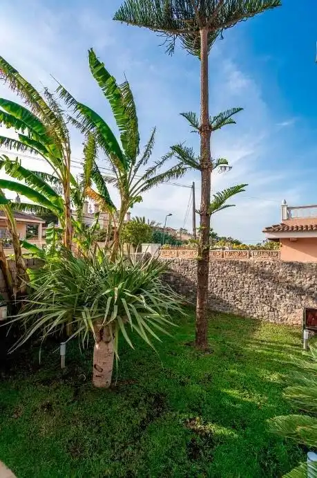 Casa amb piscina en venda a Los Balcones - Los Altos, imagen 52