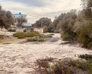 Industrial land for sale in Barbate