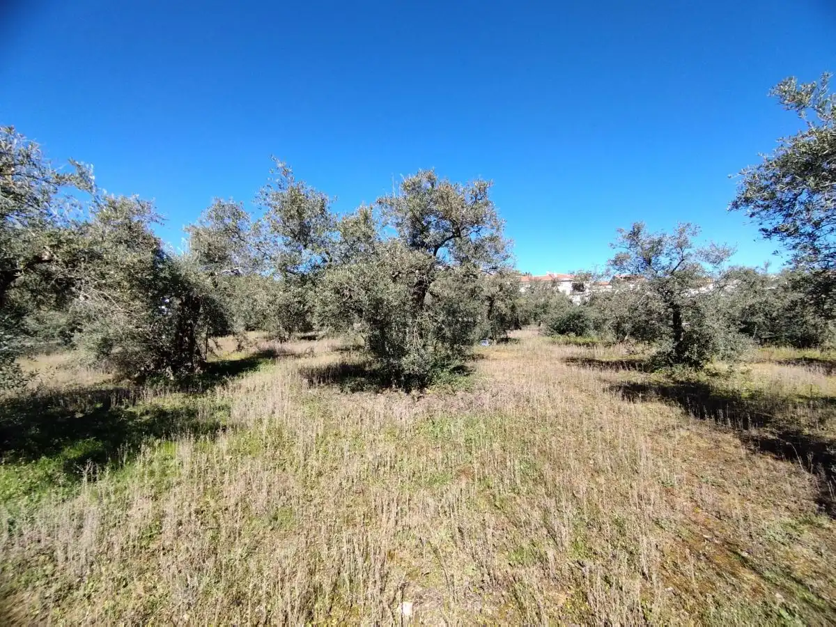 Terreni e lotti in vendita a Jaraíz de la Vera, imagen 6