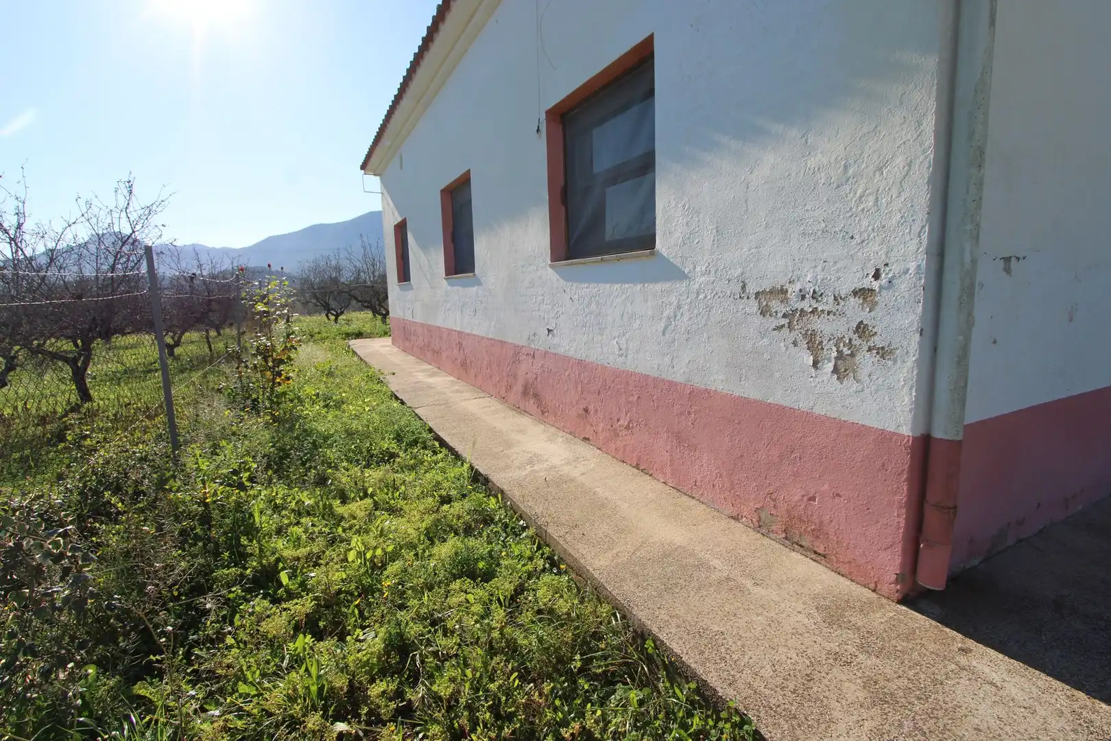 Maison avec jardin à vendre à Murla, imagen 12
