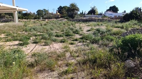 Foto 5 de Casa o xalet en venda a La Algoda - Matola - Llano de San José, Elche / Elx
