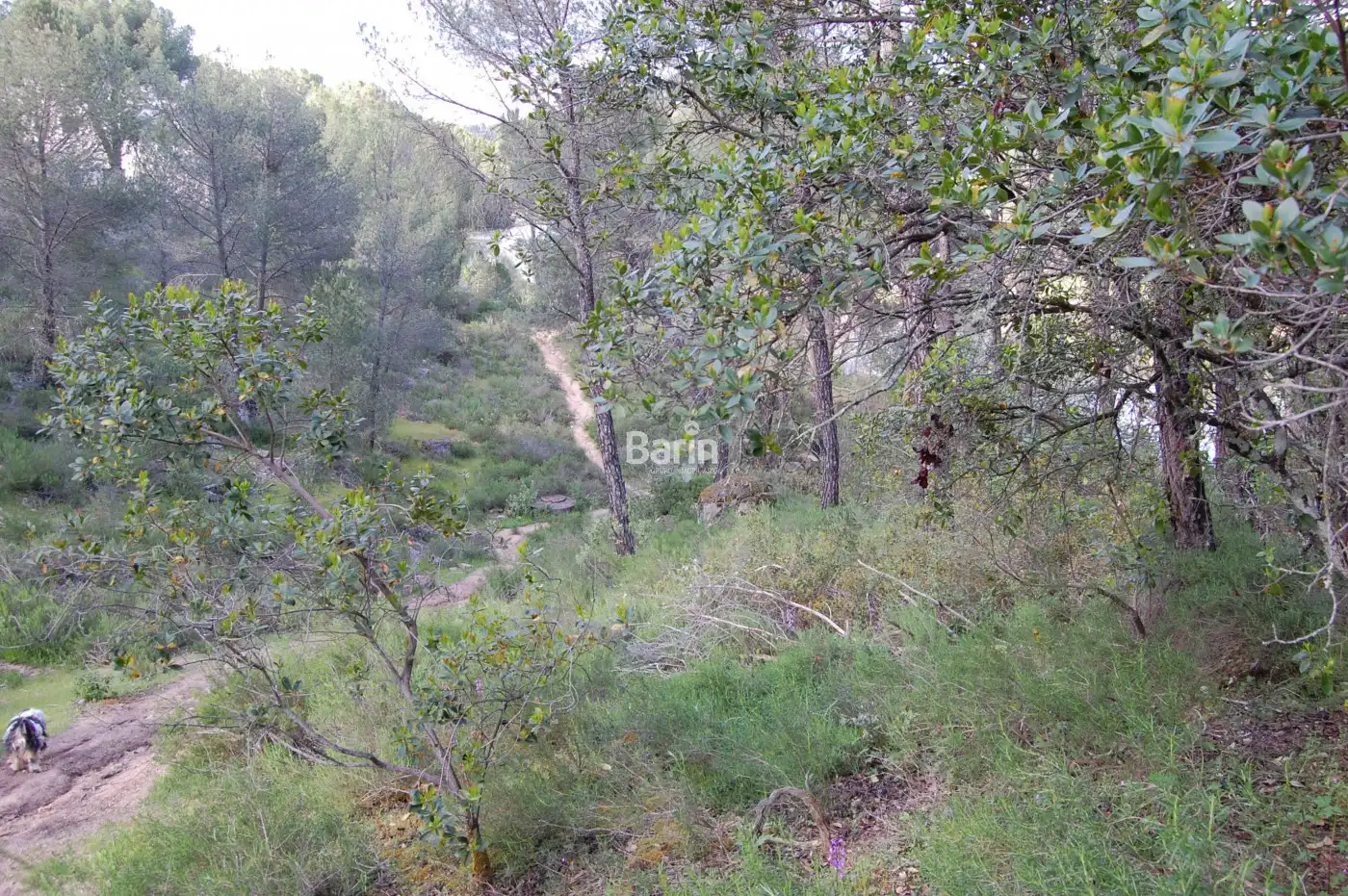 Lands and plots for sale in Periurbano Oeste - Sierra, imagen 5