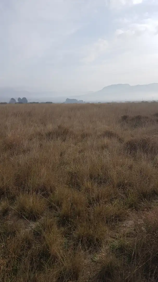 Finca rústica en venda en Salinas