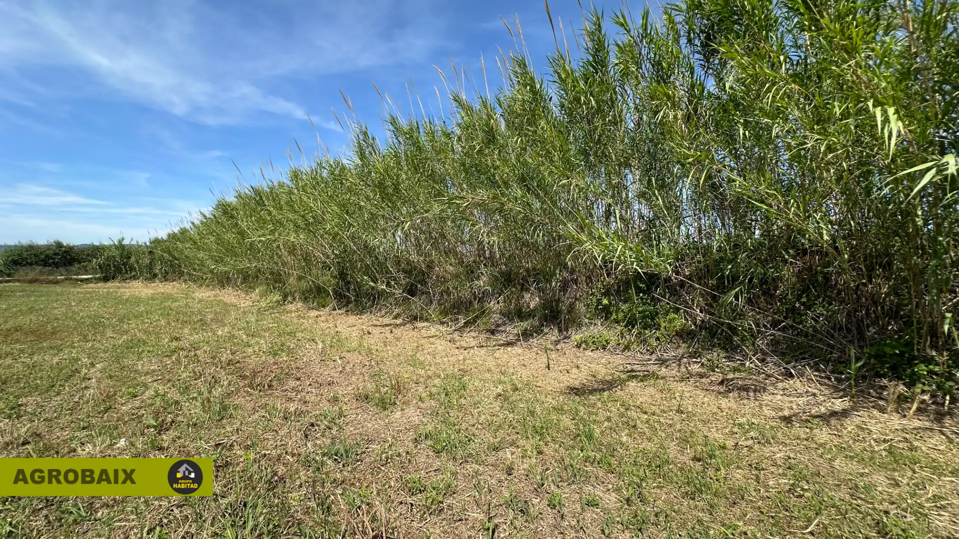 Land for sale in Sant Boi de Llobregat
