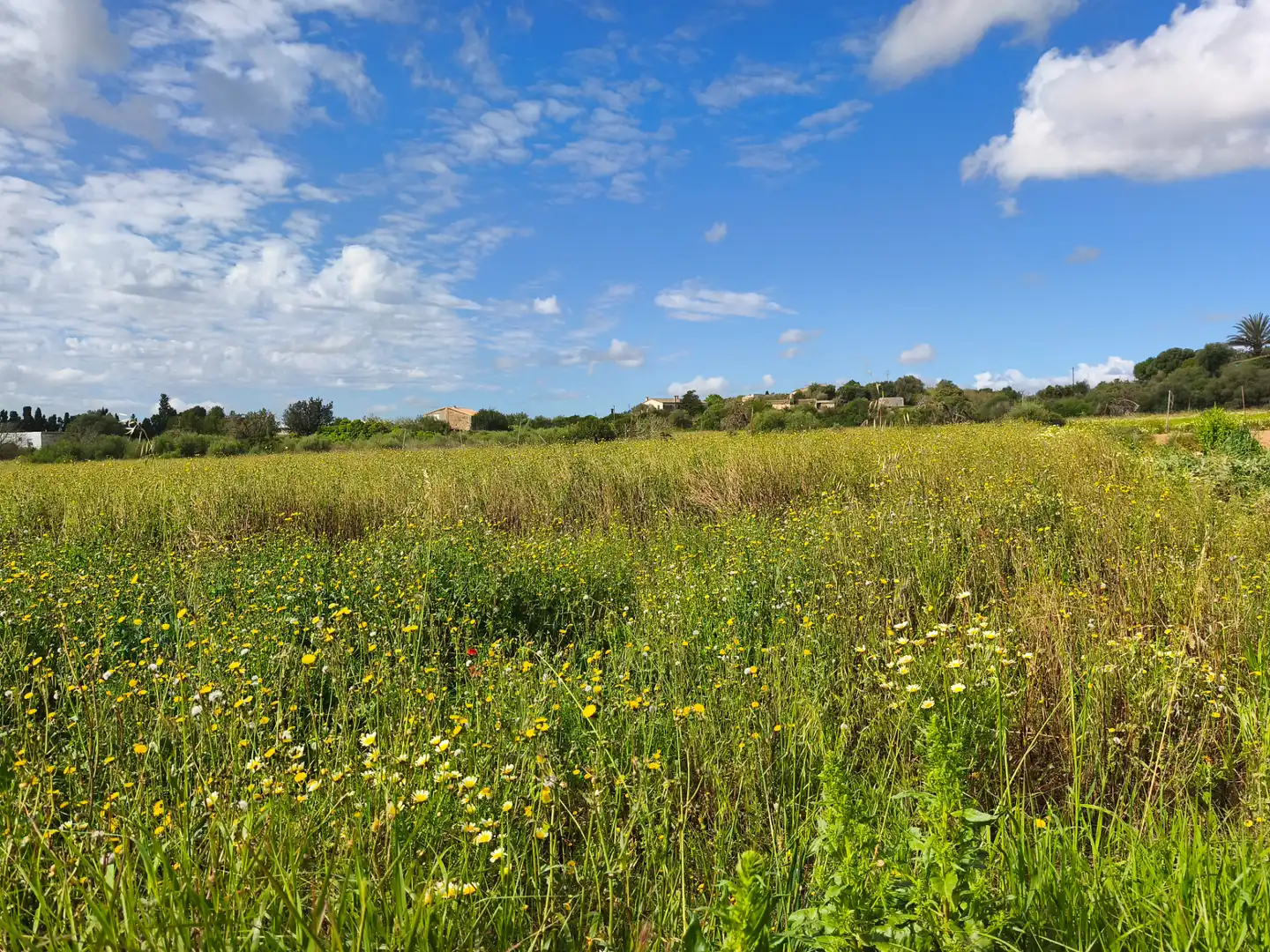 Terreno en venta en Vilafranca de Bonany