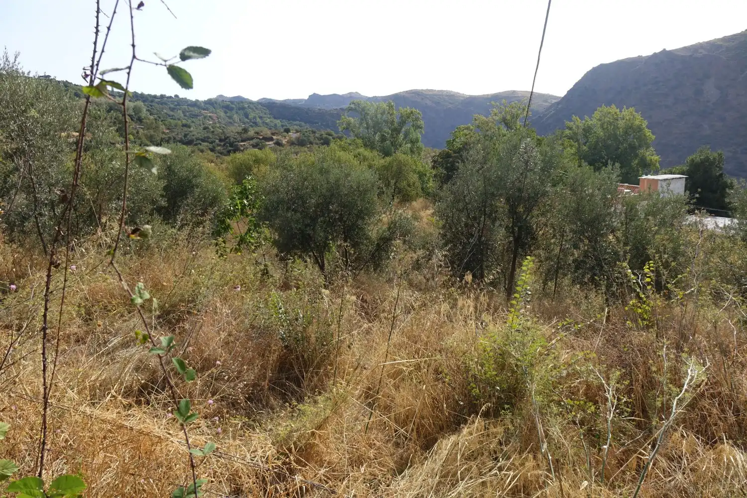 Finca rústica en venta en La Taha