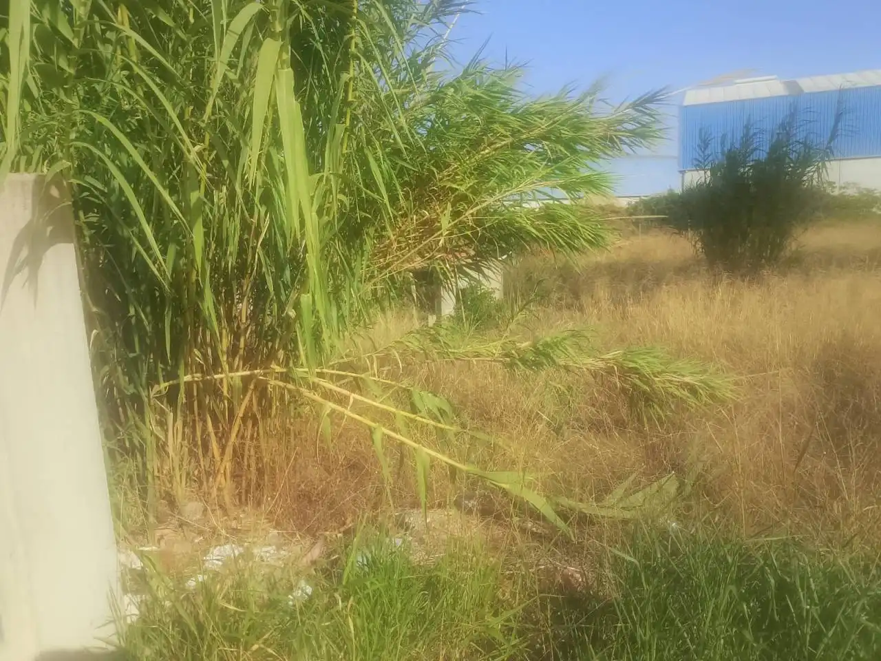 Industrial land for sale in Ador
