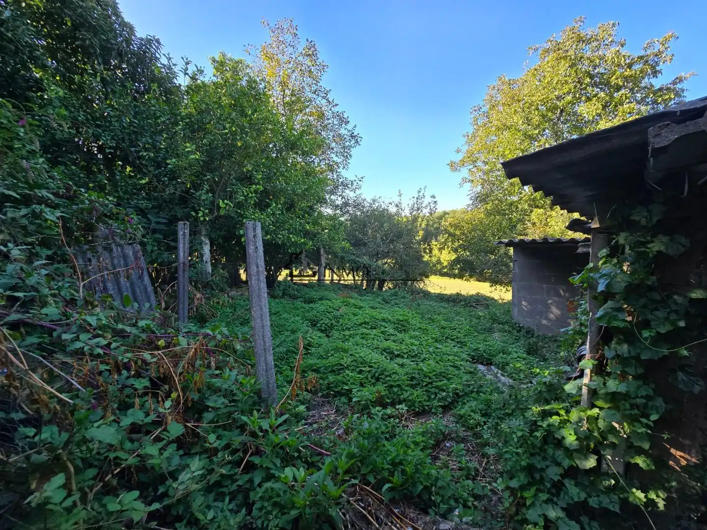 Casa con terrazza in vendita a Cuntis, imagen 82